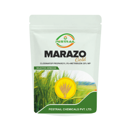 MARAZO GOLD